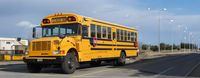 <span style="line-height:2.4;"><span style="color:#ffffff;">School bus</span></span>